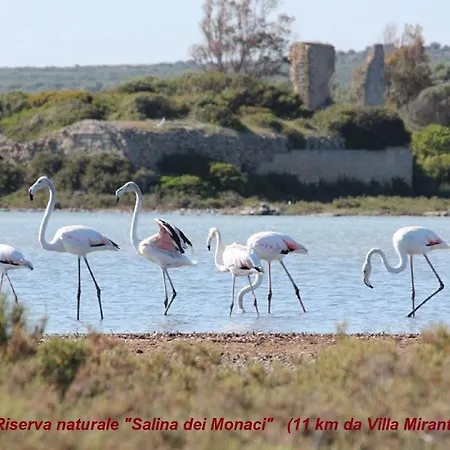 Villa Mirante Maruggio