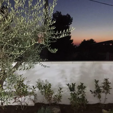 Mirante - 玛鲁吉奥