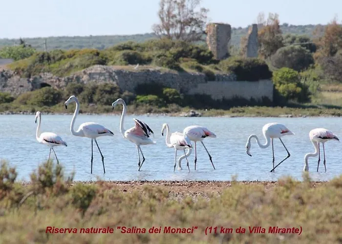 Villa Mirante - Maruggio