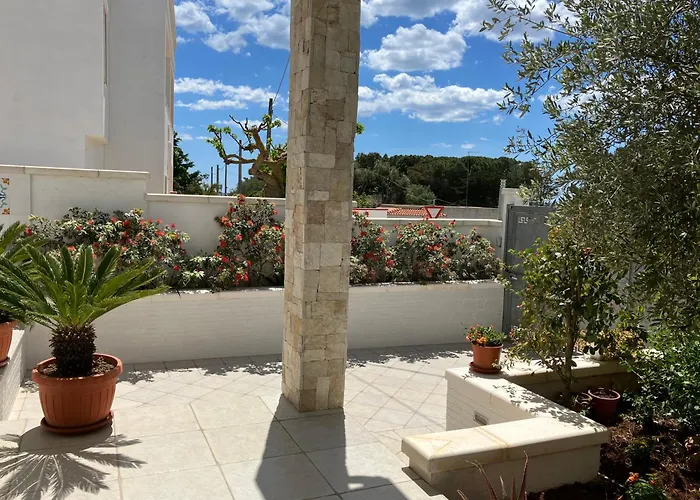 Mirante - * מארוג'ו